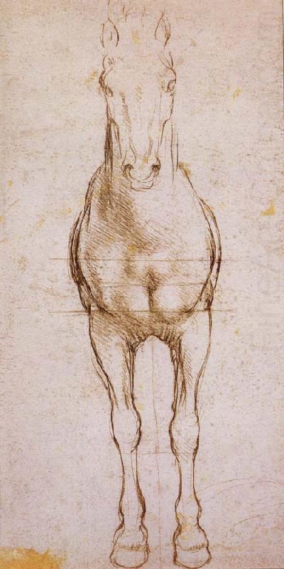 Study of the proportion of horses, LEONARDO da Vinci